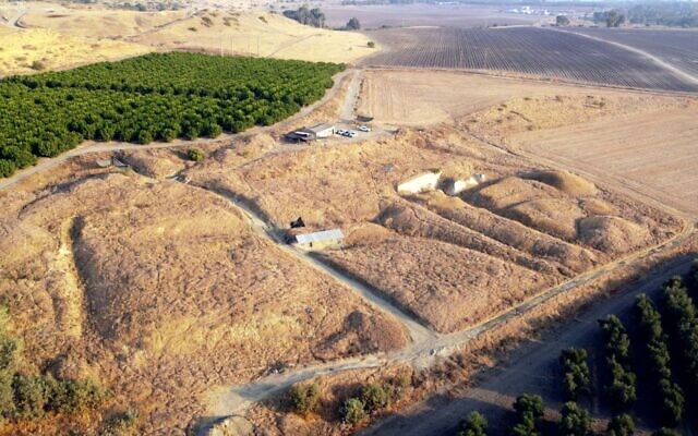 The 'Ubeidiya archaeological site in the Jordan Valley, where researchers found a 1.5 million year old human vertebra. (Courtesy/Dr. Alon Barash)