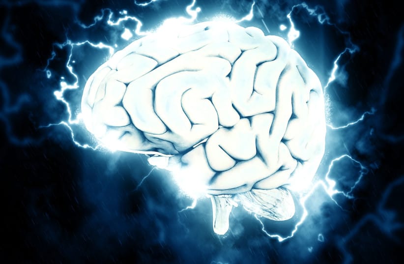  The brain (illustrative). (photo credit: PIXABAY)