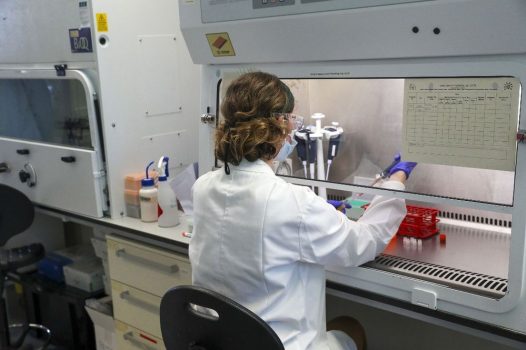 A scientist is pictured working at the Churchill Hospital in Oxford, west of London on June 24, 2020.