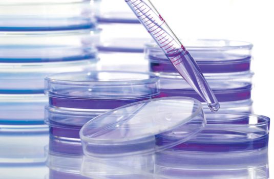 Petri dishes are pictured in an unknown location in a Cancer Research UK laboratory on an unknown date. (photo credit: CANCER RESEARCH UK/HANDOUT VIA REUTERS)